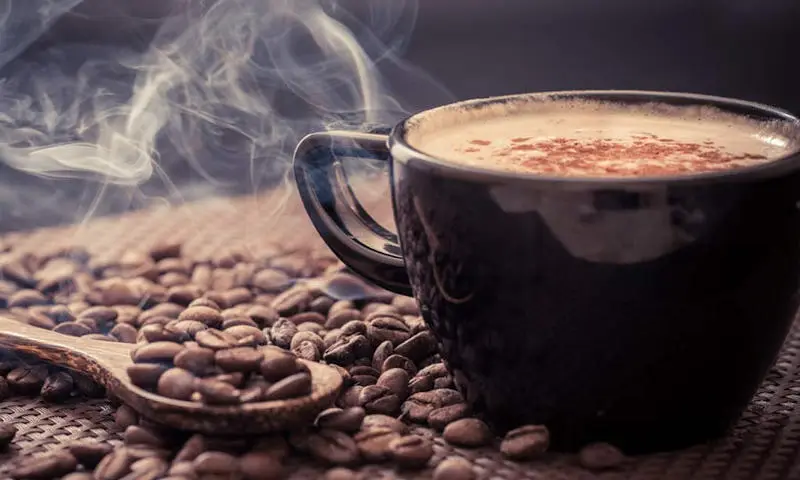 Tired or Wired Caffeine and Your Brain